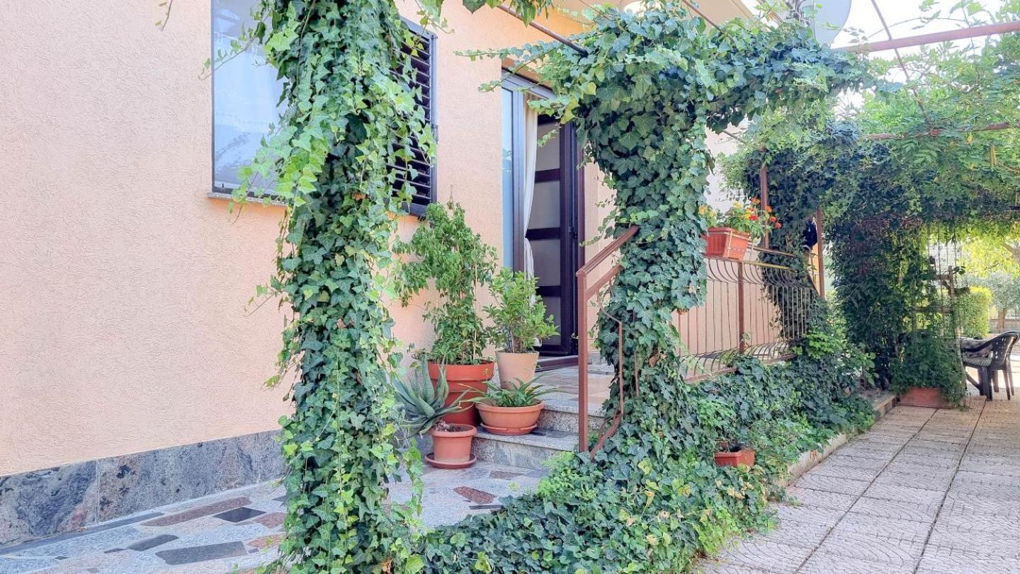 Apartments Maria Novigrad Istria 외부 사진